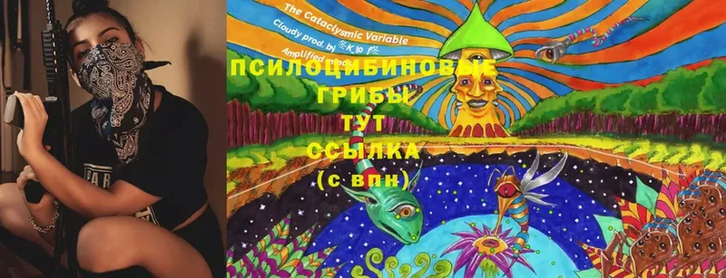 Псилоцибиновые грибы Cubensis  блэк спрут зеркало  Зверево 